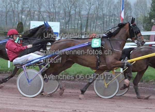 Une Violette Bovay prot